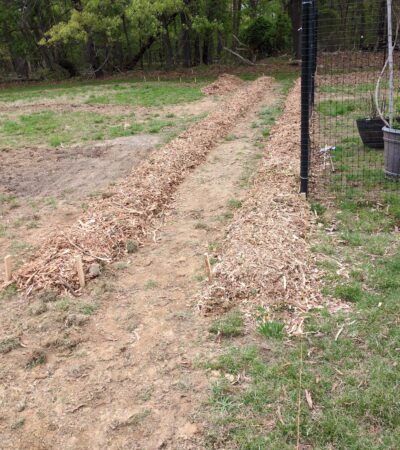 8902ced8-2239-457a-93db-23a6e0554c80 (Copy) 8902ced8-2239-457a-93db-23a6e0554c80 (Copy)