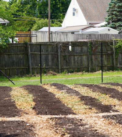 DSC02358 (Copy) DSC02358 (Copy)