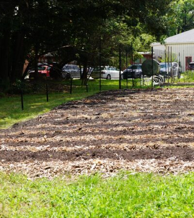 DSC02373 (Copy) DSC02373 (Copy)