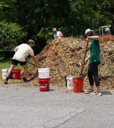 DSC02500 (Copy) DSC02500 (Copy)