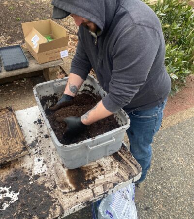 IMG_20250306_140356 (Copy) IMG_20250306_140356 (Copy)