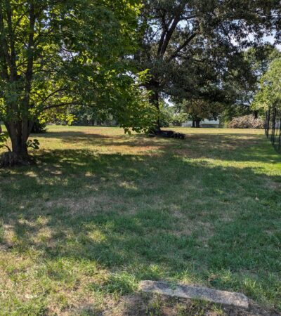 PXL_20240805_194338148 (Copy) PXL_20240805_194338148 (Copy)