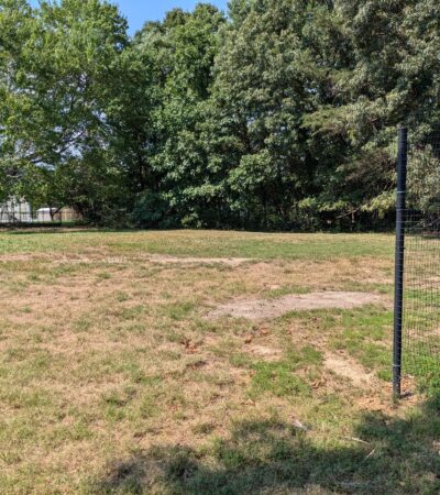 PXL_20240805_194400521 (Copy) PXL_20240805_194400521 (Copy)