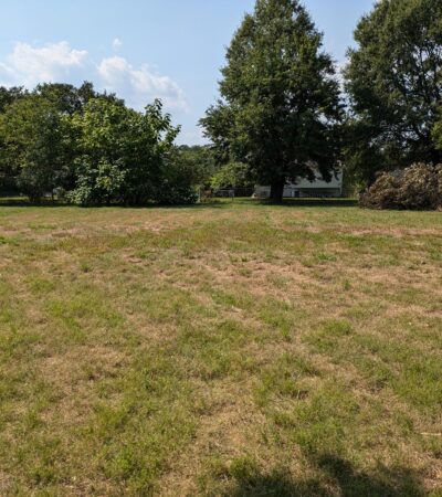 PXL_20240805_194402697 (Copy) PXL_20240805_194402697 (Copy)