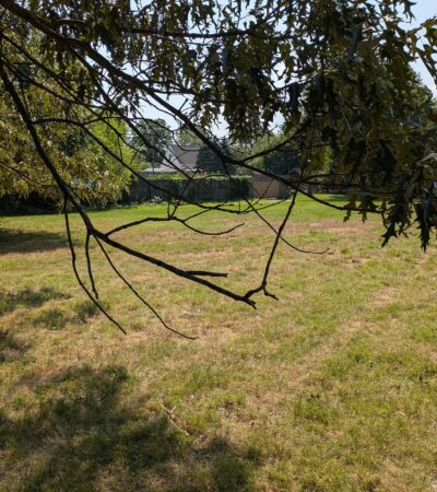 PXL_20240805_194404950.MP (Copy) PXL_20240805_194404950.MP (Copy)