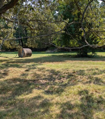 PXL_20240805_194407347 (Copy) PXL_20240805_194407347 (Copy)