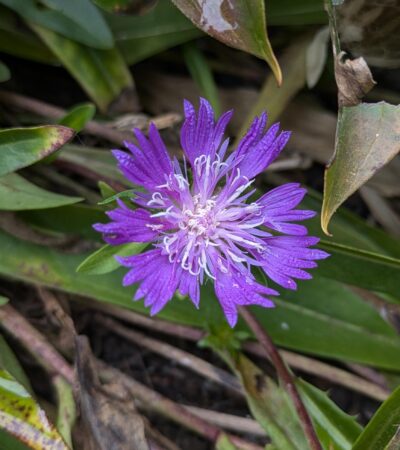 PXL_20240917_141146933.PORTRAIT.ORIGINAL (Copy) PXL_20240917_141146933.PORTRAIT.ORIGINAL (Copy)