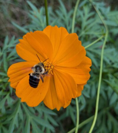 PXL_20240929_205523925.PORTRAIT.ORIGINAL (Copy) PXL_20240929_205523925.PORTRAIT.ORIGINAL (Copy)