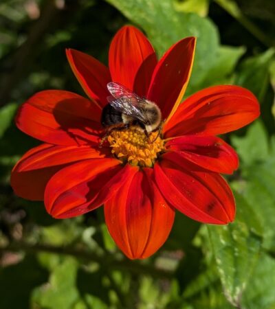 PXL_20241009_181624651.PORTRAIT.ORIGINAL (Copy) PXL_20241009_181624651.PORTRAIT.ORIGINAL (Copy)