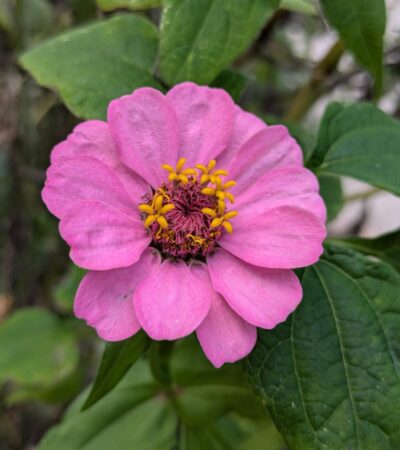 PXL_20241013_191748945.PORTRAIT.ORIGINAL (Copy) PXL_20241013_191748945.PORTRAIT.ORIGINAL (Copy)