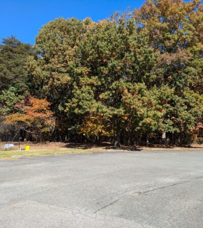 PXL_20241025_165513588 (Copy) PXL_20241025_165513588 (Copy)