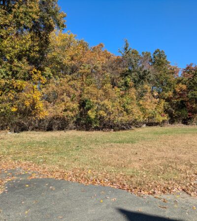 PXL_20241025_165611693 (Copy) PXL_20241025_165611693 (Copy)