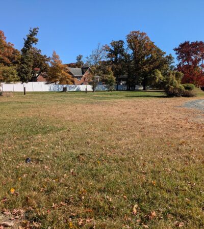 PXL_20241025_165625461 (Copy) PXL_20241025_165625461 (Copy)