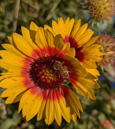 PXL_20241030_182935671.PORTRAIT.ORIGINAL (Copy) PXL_20241030_182935671.PORTRAIT.ORIGINAL (Copy)