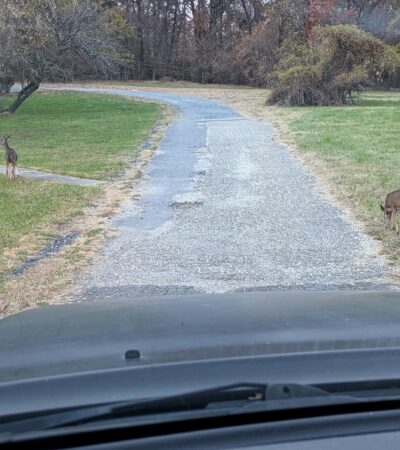 PXL_20241117_215352762.PORTRAIT.ORIGINAL (Copy) PXL_20241117_215352762.PORTRAIT.ORIGINAL (Copy)