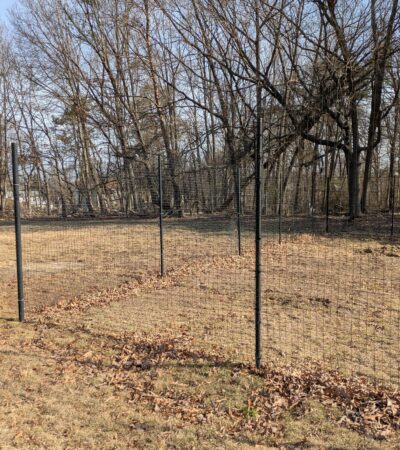 PXL_20250312_141157124 (Copy) PXL_20250312_141157124 (Copy)