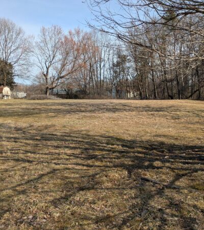 PXL_20250312_141325955 (Copy) PXL_20250312_141325955 (Copy)