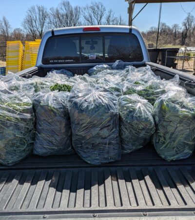 PXL_20250327_170202656.MP (Copy) PXL_20250327_170202656.MP (Copy)