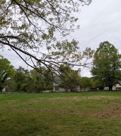 PXL_20250421_144719219 (Copy) PXL_20250421_144719219 (Copy)