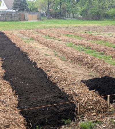 PXL_20250421_201840920.PORTRAIT.ORIGINAL (Copy) PXL_20250421_201840920.PORTRAIT.ORIGINAL (Copy)