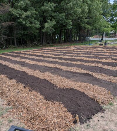 PXL_20250507_173456380_1 (Copy) PXL_20250507_173456380_1 (Copy)