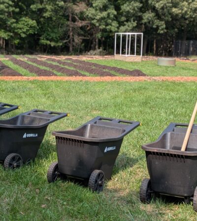 PXL_20250602_202511149.PORTRAIT (Copy) PXL_20250602_202511149.PORTRAIT (Copy)