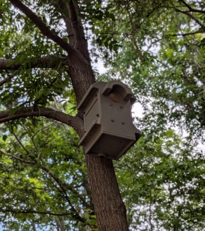 PXL_20250606_152619036.PORTRAIT (Copy) PXL_20250606_152619036.PORTRAIT (Copy)